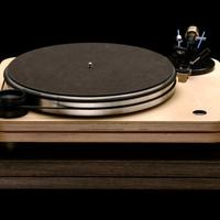 Pear Audio Robin Hood SE braccio e testina