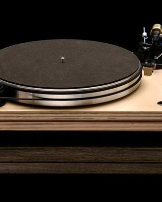 Pear Audio Robin Hood SE braccio e testina