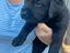 Immagine 5