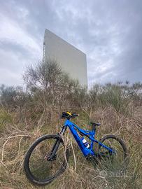 Ebike ktm