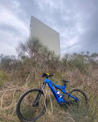 Ebike ktm