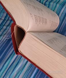 vocabolario francese italiano