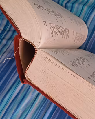 vocabolario francese italiano