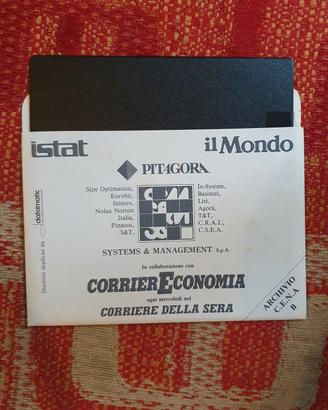 Floppy Istat anni 80