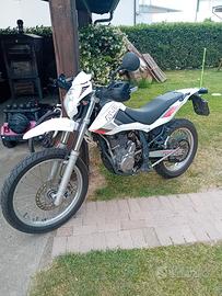 beta alp 4.0 