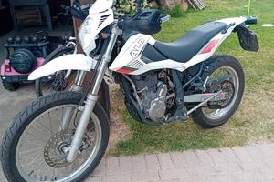 beta alp 4.0 