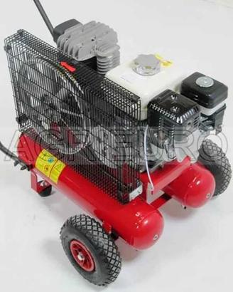 Motocompressore raccolta olive motore Honda