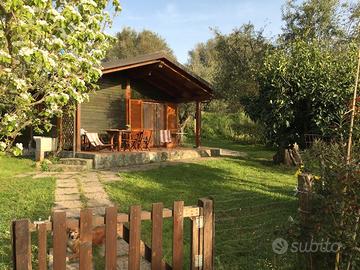 Casa vacanza collina di Tropea