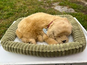Cagnolino Finto realistico che respira
