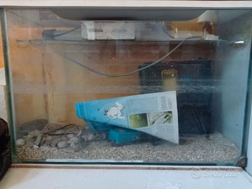 acquario