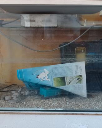 acquario