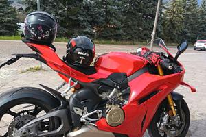 Panigale v4s 2026