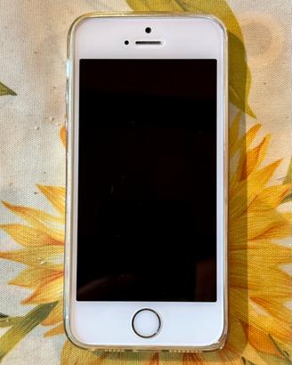 IPHONE 5S 16gb Silver Usato