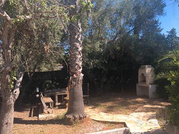 Casa in campagna vicino mare