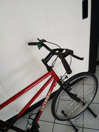 Bici tandem Ghiaroni NUOVA