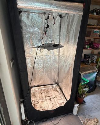 grow box + lambada led 200 wat