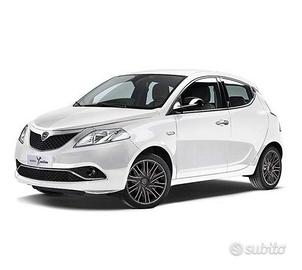 Ricambi usati Lancia ypsilon musa delta 2010 2020