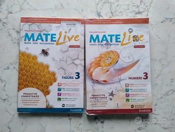 Matelive 3 matematica per la scuola media 