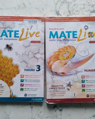 Matelive 3 matematica per la scuola media 