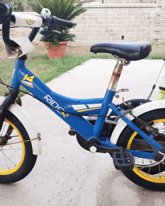 Bicicletta bambino 14 pollici Bici La Sportiva