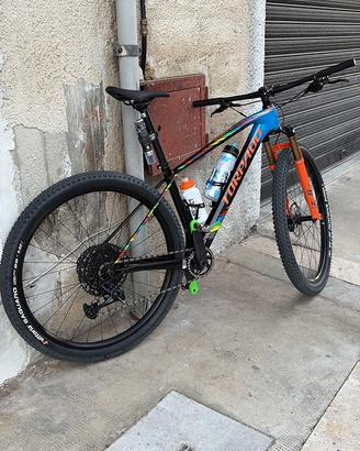 mtb torpado ribot
