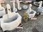 Immagine 28