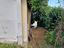 Immagine 12