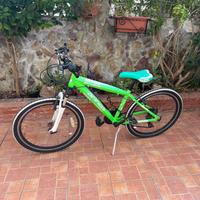 Bicicletta Forest 24