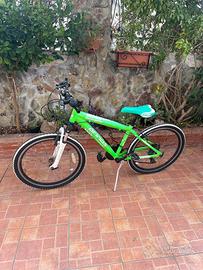 Bicicletta Forest 24