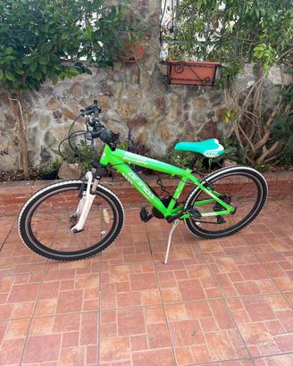 Bicicletta Forest 24