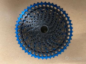 Pacco pignoni Leonardi Racing