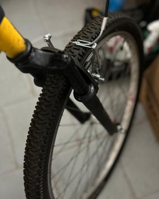 Bicicletta Lombardo