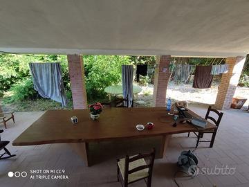 tavola in pezzo unico e gambe in cedro del libano