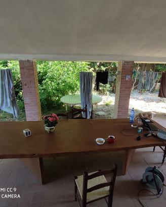 tavola in pezzo unico e gambe in cedro del libano