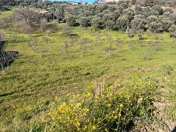 Terreno Edificabile residenziale di 4600 metri