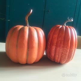 Zucche decorative 