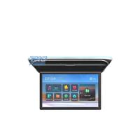 SCHERMO PER TETTO FULL HD DA 17,3"