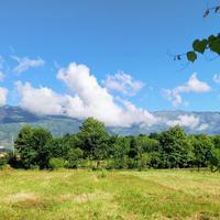 TER. AGRICOLO A FONTANAFREDDA