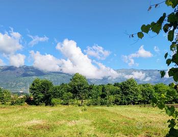 TER. AGRICOLO A FONTANAFREDDA