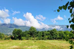 TER. AGRICOLO A FONTANAFREDDA