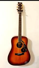 DW-5S Acoustic Guitar