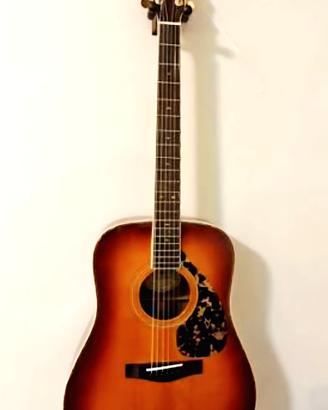 DW-5S Acoustic Guitar