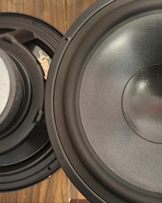 Woofer da 25 cm