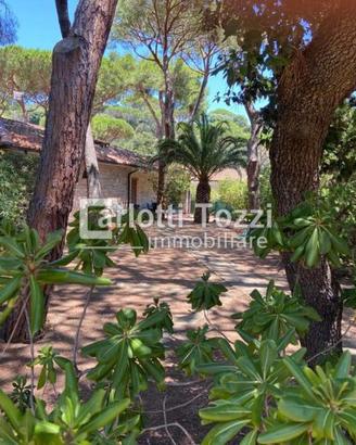 Rif.03088| villa a schiera castiglione della pesc