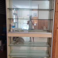 Cristalliera, Vetrina