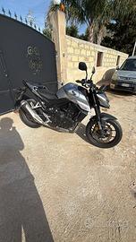 2025 Hornet 750