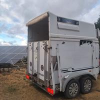 Trailer 2 posti boeckmann