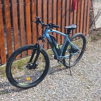 Bicicletta elettrica