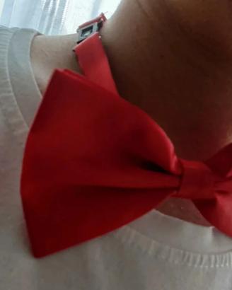Papillon rosso