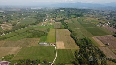 Terreno agricolo zona Colli Orientali